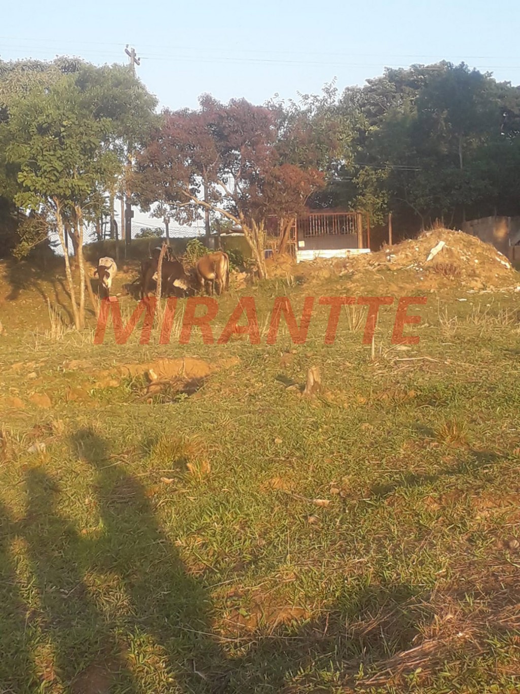 Terreno de 56m² em São Vicente