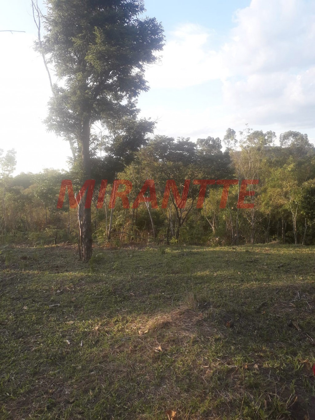 Terreno de 56m² em São Vicente