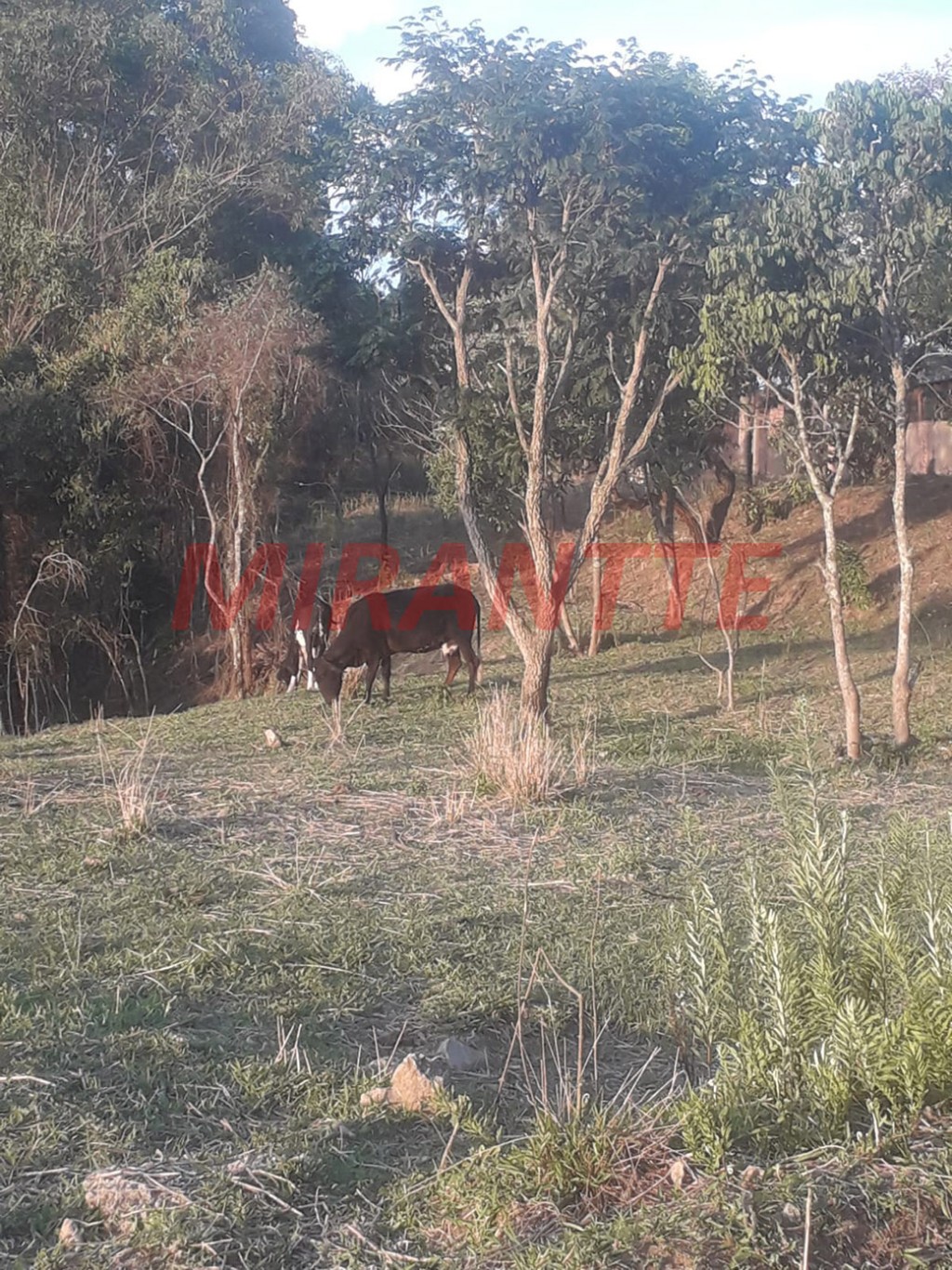 Terreno de 56m² em São Vicente