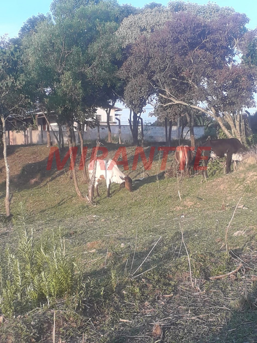 Terreno de 56m² em São Vicente