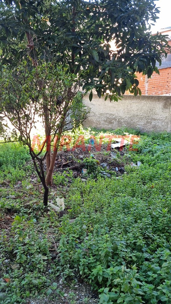 Casa terrea de 320m² com 2 quartos em Casa Verde Alta