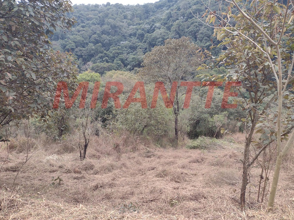 Terreno de 1036m² em Centro – Mairiporã