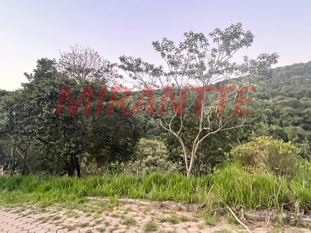 Terreno de 1036m² em Centro – Mairiporã