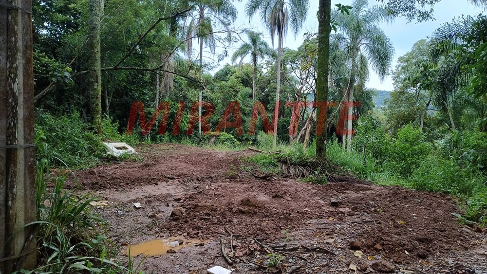 Terreno de 1440m² em PARQUE NOVO HAMBURGO