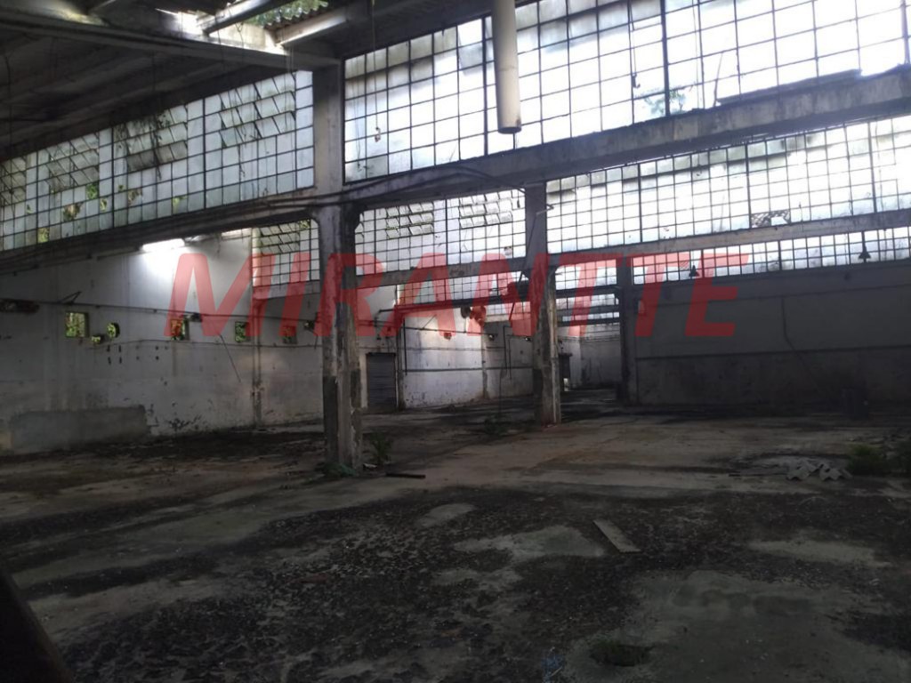 Galpao em Tremembe