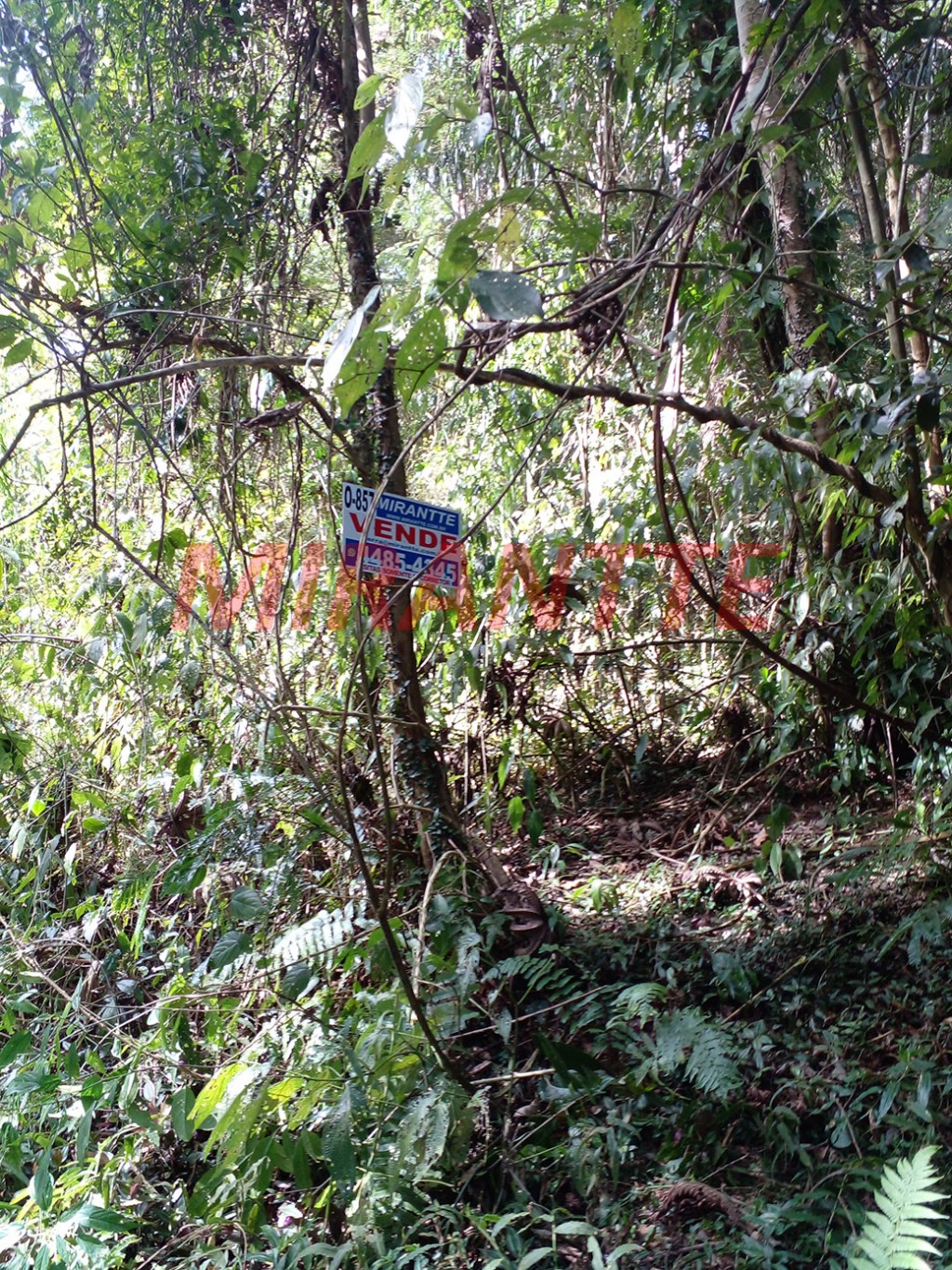 Terreno de 1682m² em Serra da Cantareira