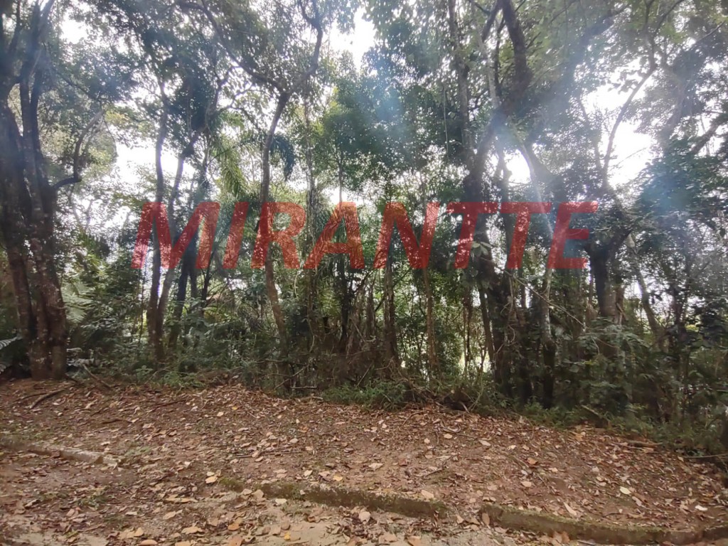 Terreno de 1.796m² em Serra Da Cantareira