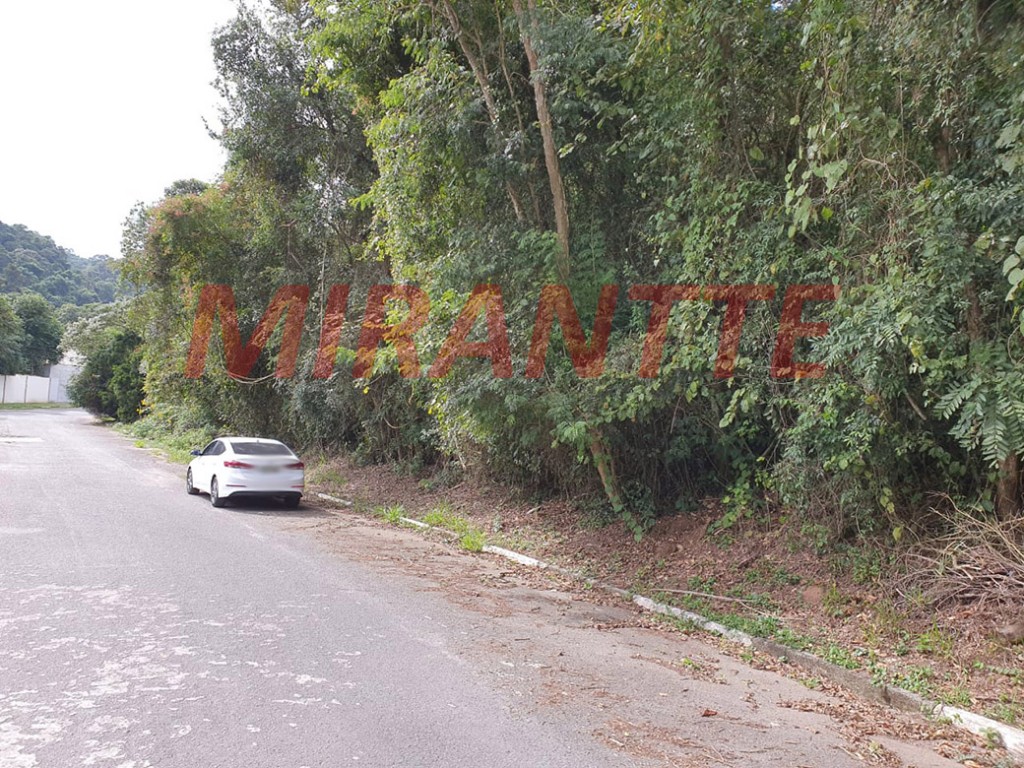 Terreno de 4000m² em Serra da Cantareira