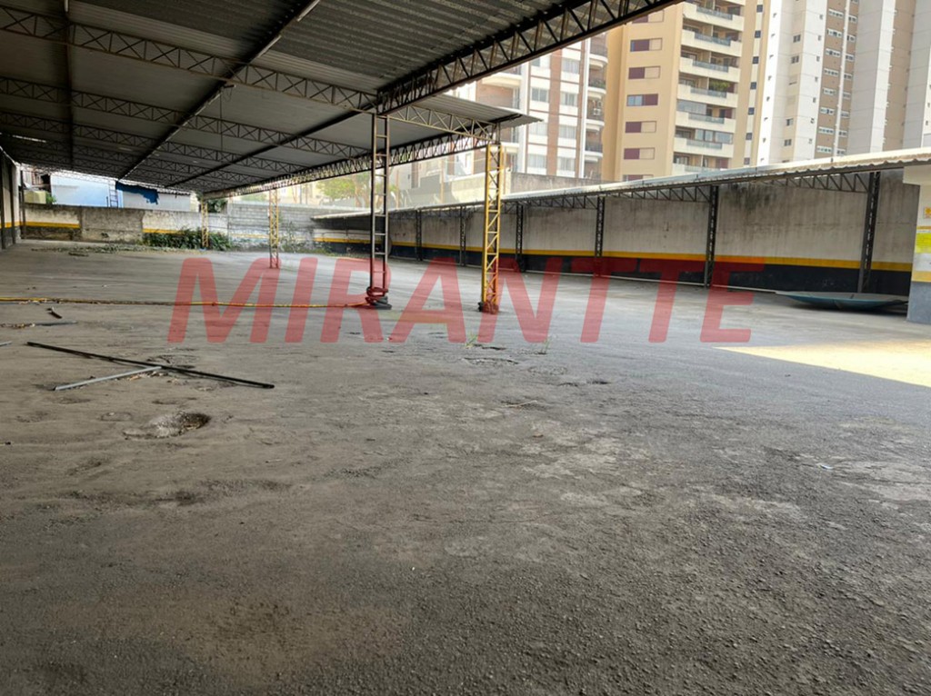 Terreno de 1040m² em Vila Leopoldina