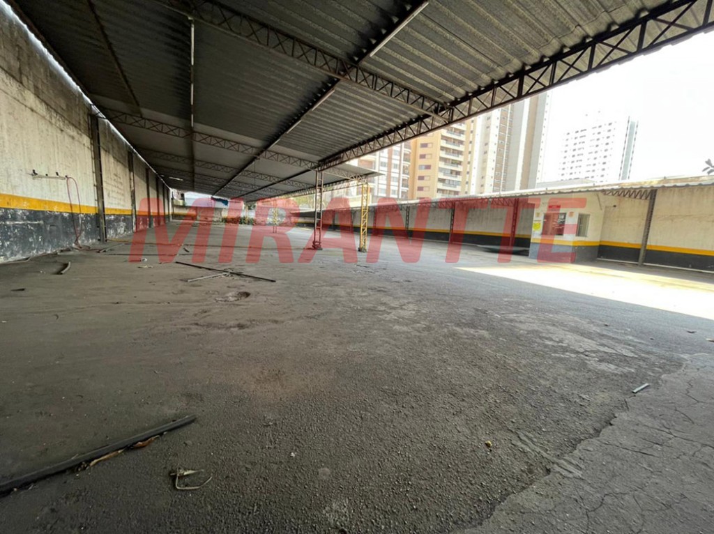 Terreno de 1040m² em Vila Leopoldina