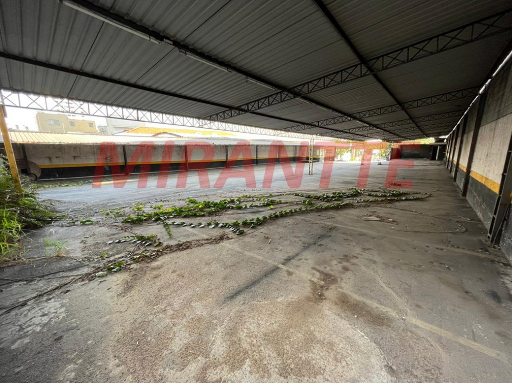 Terreno de 1040m² em Vila Leopoldina