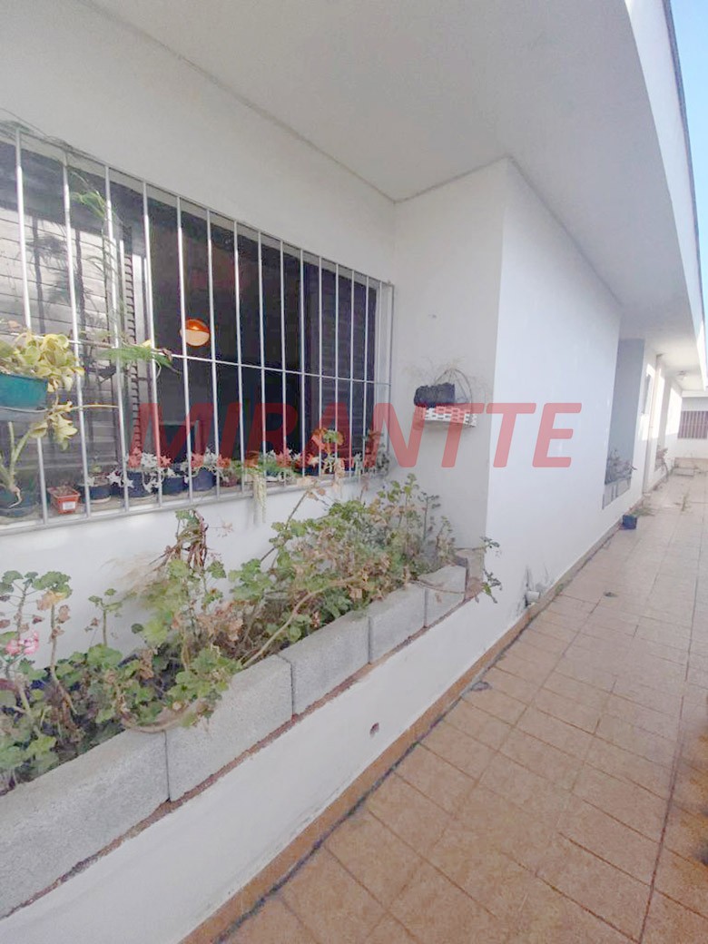 Casa terrea de 245m² com 4 quartos em Vila Harmonia