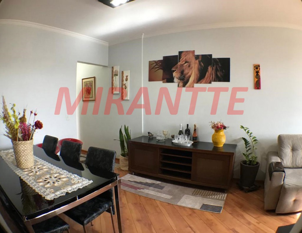 Apartamento com 3 quartos em Vila Augusta