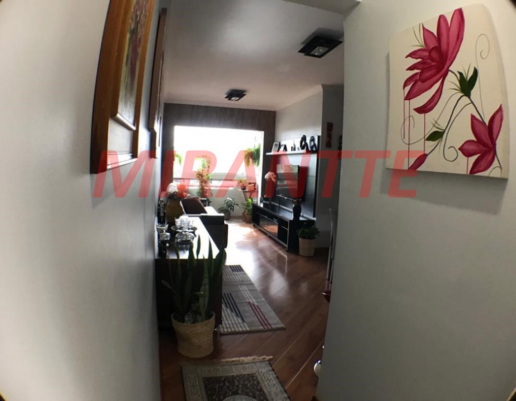 Apartamento com 3 quartos em Vila Augusta