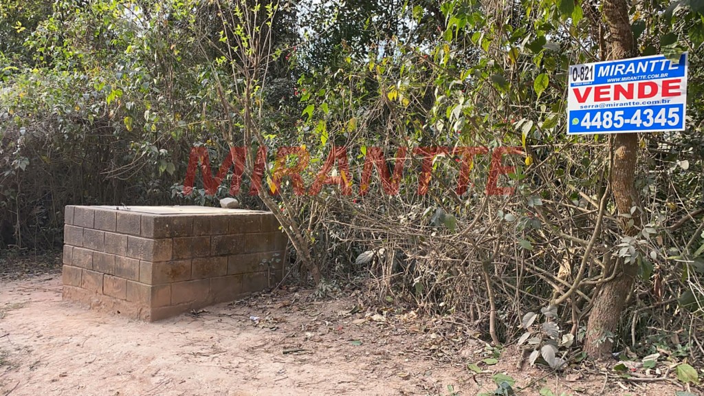 Terreno de 5000m² em São Vicente
