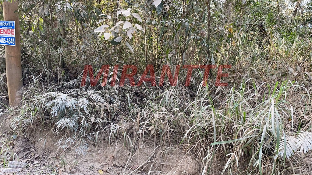 Terreno de 5061m² em São Vicente