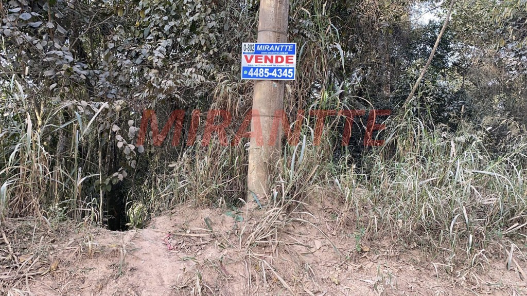 Terreno de 5045m² em São Vicente