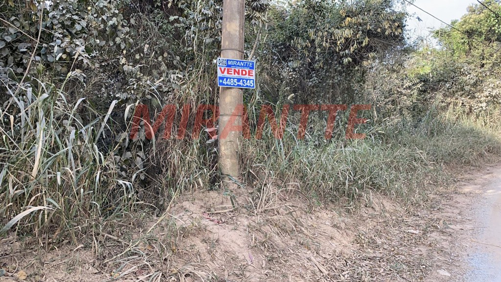Terreno de 5045m² em São Vicente