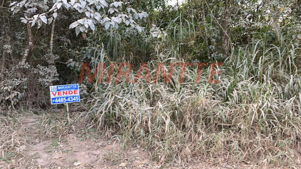Terreno de 5123m² em São Vicente
