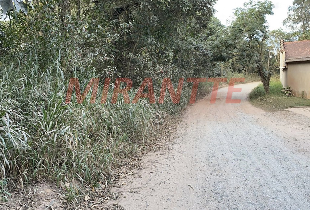 Terreno de 5126m² em São Vicente