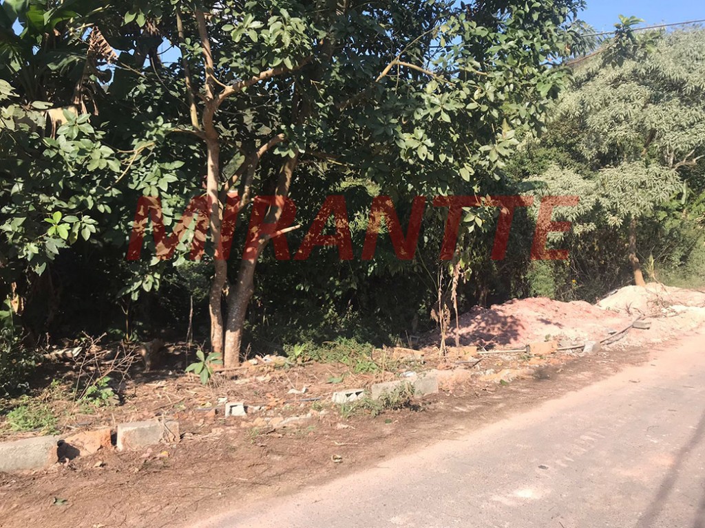 Terreno de 386m² em SANTA IN