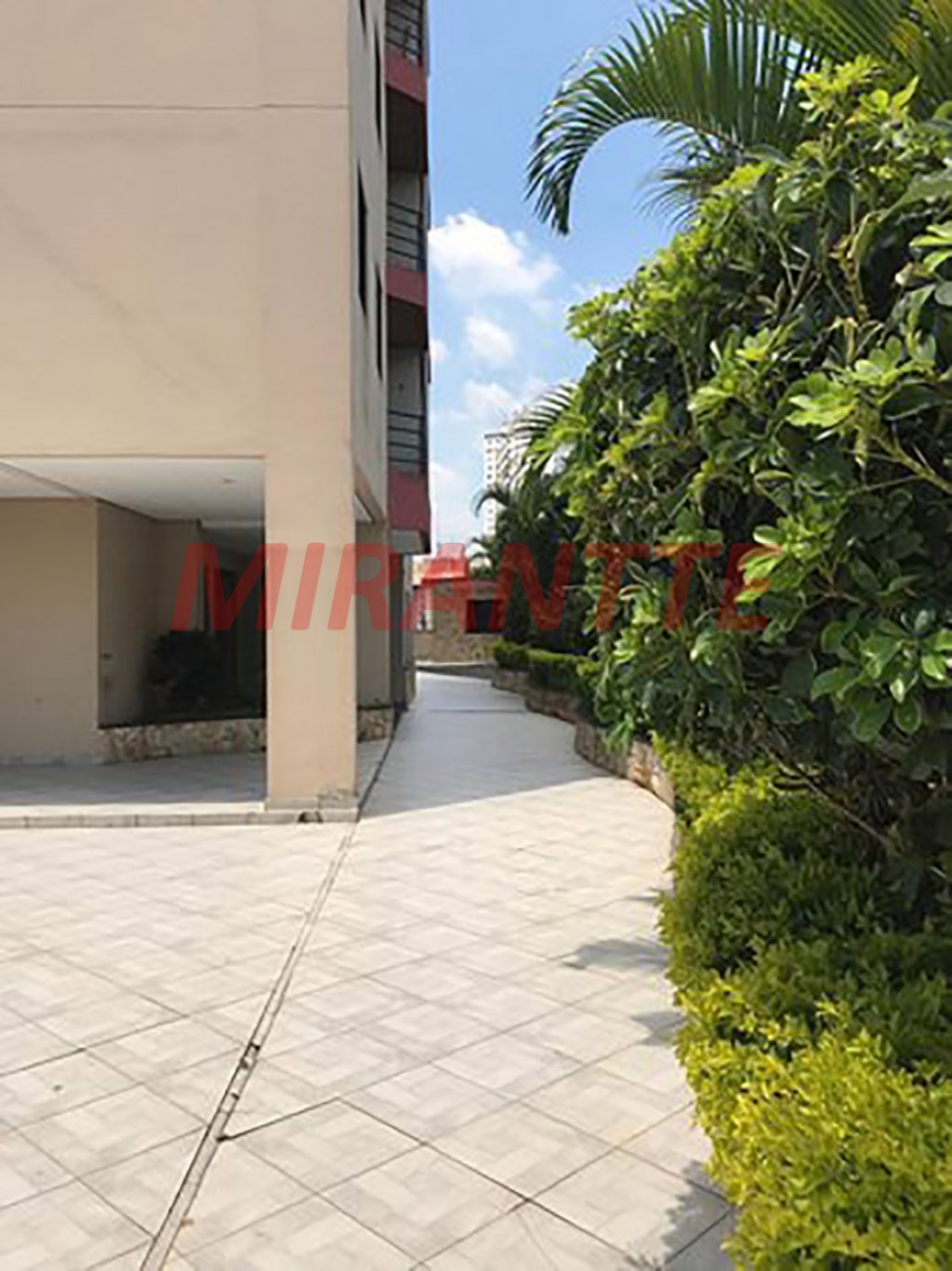 Apartamento de 50m² com 2 quartos em Vila Carmosina