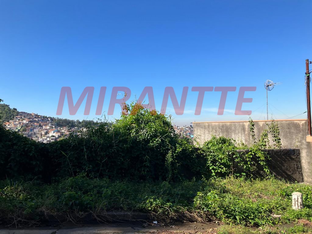 Terreno de 318m² em Vila Albertina