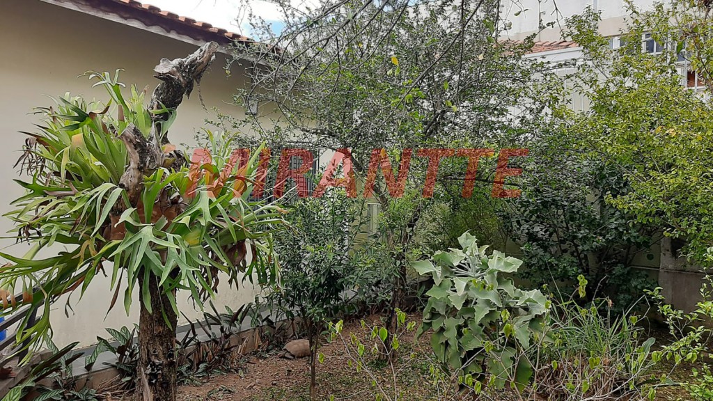 Casa terrea de 336m² com 4 quartos em Mandaqui