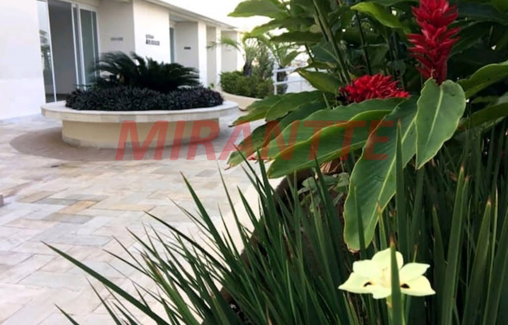Apartamento com 3 quartos em Martin De Sá