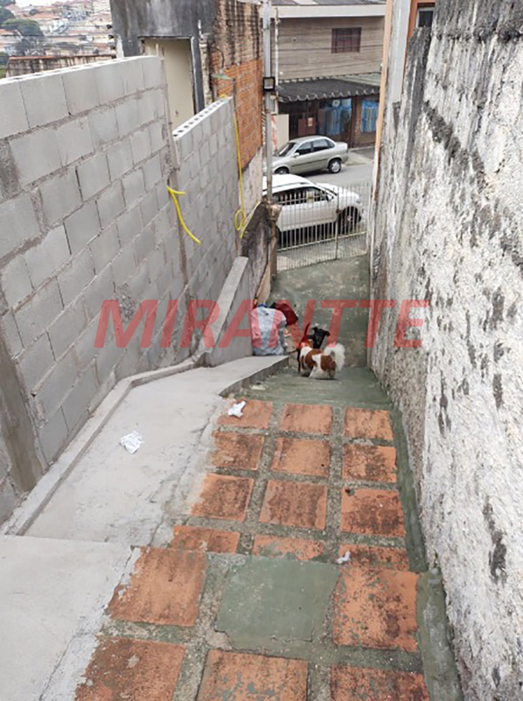 Casa terrea de 1102.5m² com 3 quartos em Vila Ester