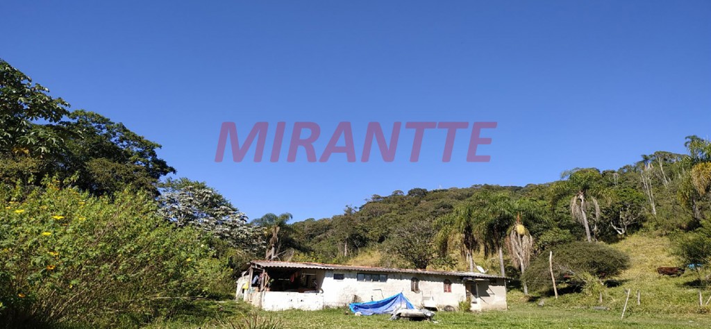 Terreno de 117000m² em Mato Dentro
