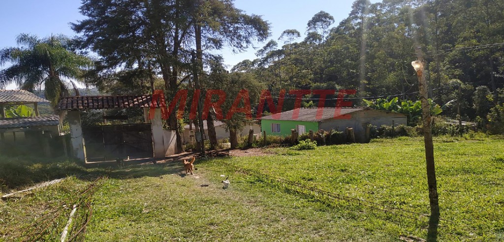 Terreno de 117000m² em Mato Dentro