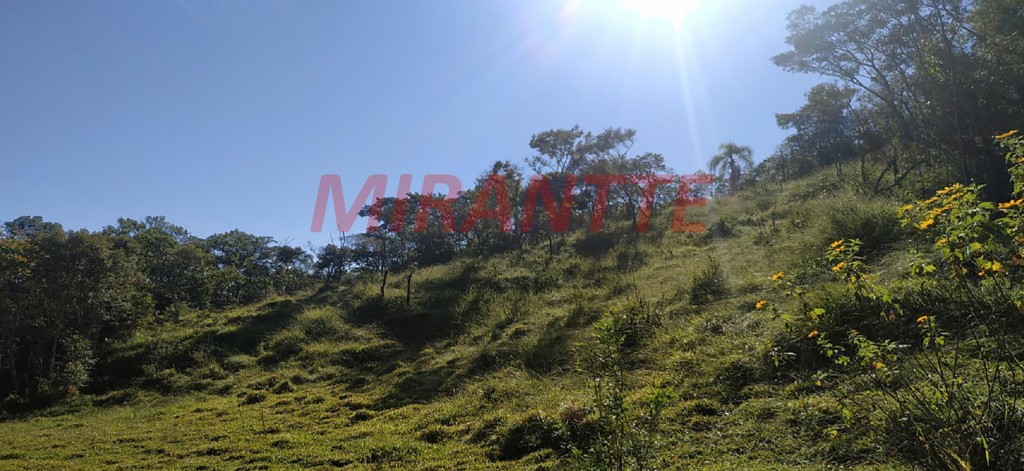 Terreno de 117000m² em Mato Dentro