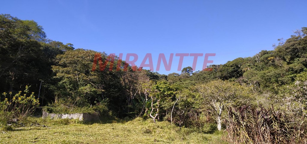 Terreno de 117000m² em Mato Dentro