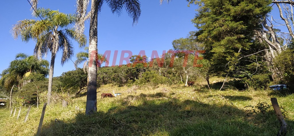 Terreno de 117000m² em Mato Dentro