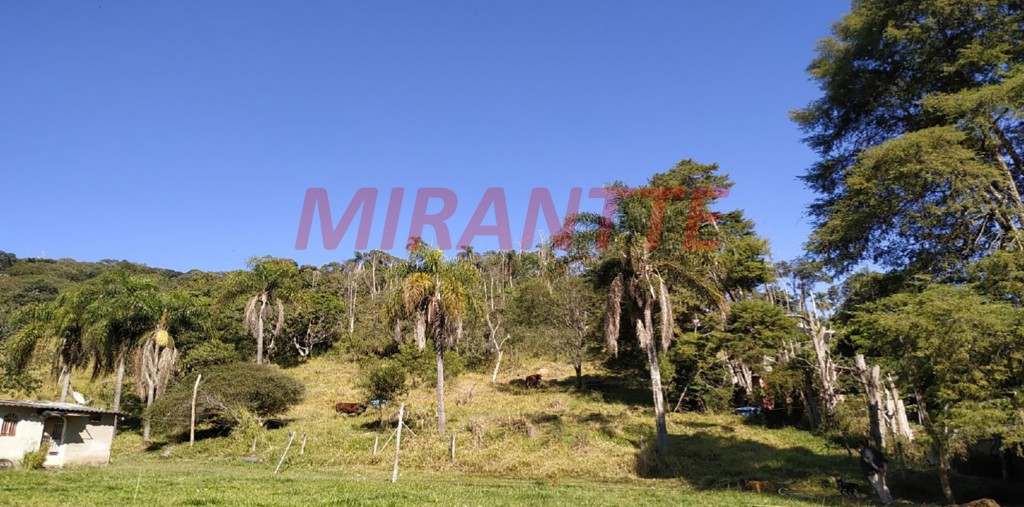 Terreno de 117000m² em Mato Dentro