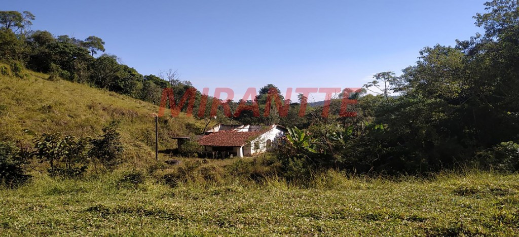 Terreno de 117000m² em Mato Dentro