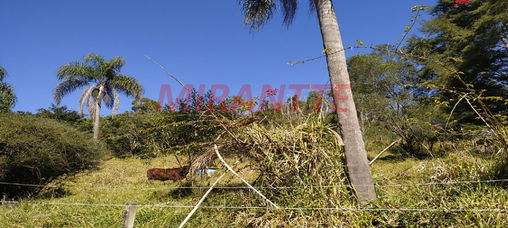 Terreno de 117000m² em Mato Dentro