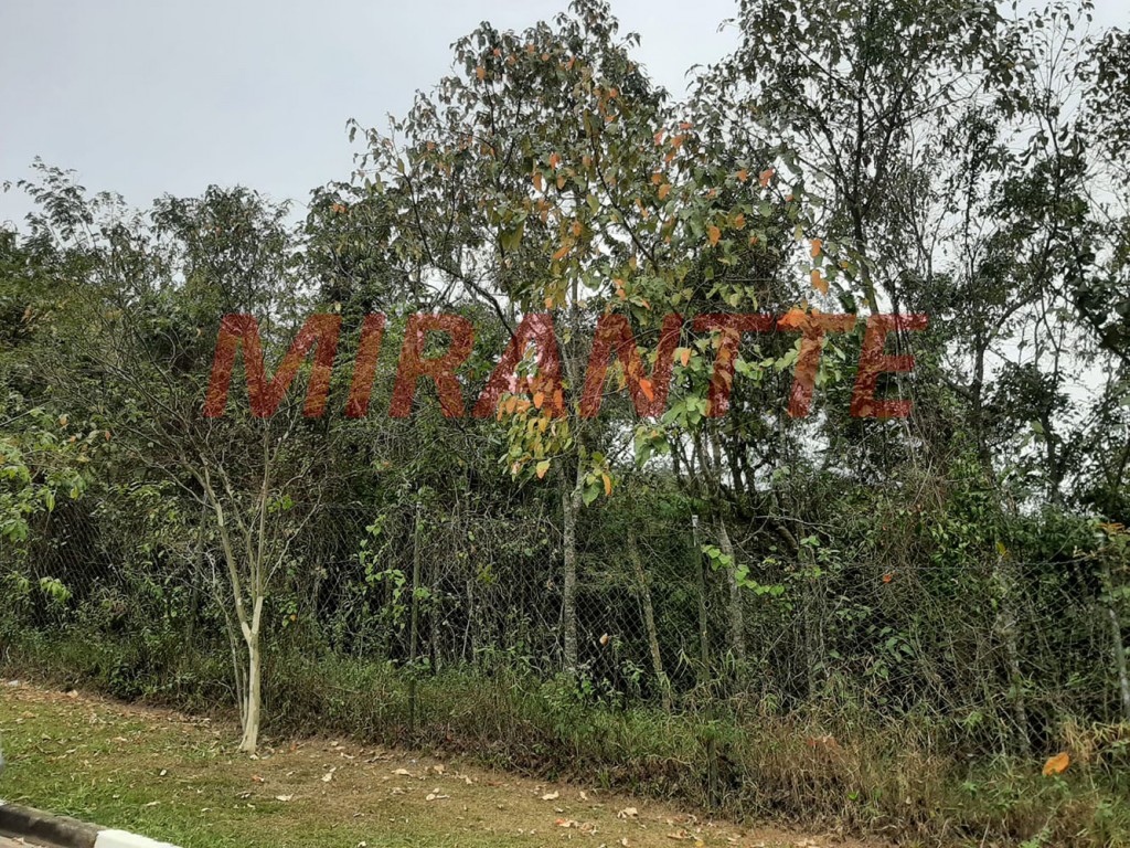 Terreno de 4.113m² em Jardim Peri