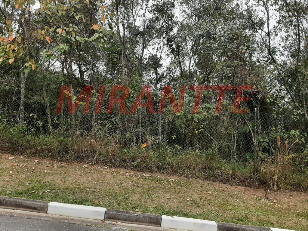 Terreno de 4.113m² em Jardim Peri