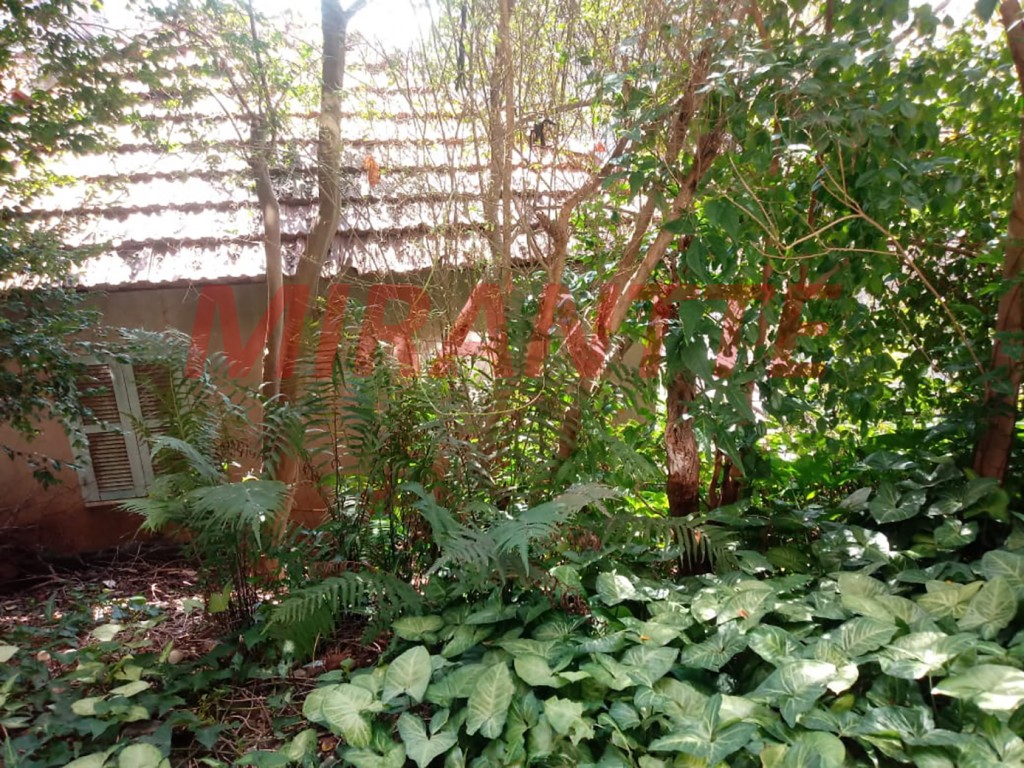 Terreno de 268m² em Pirituba