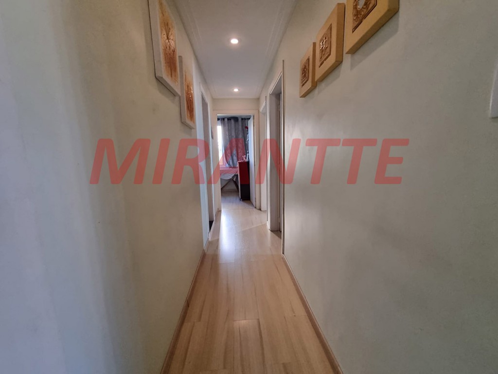 Apartamento com 3 quartos em Tucuruvi