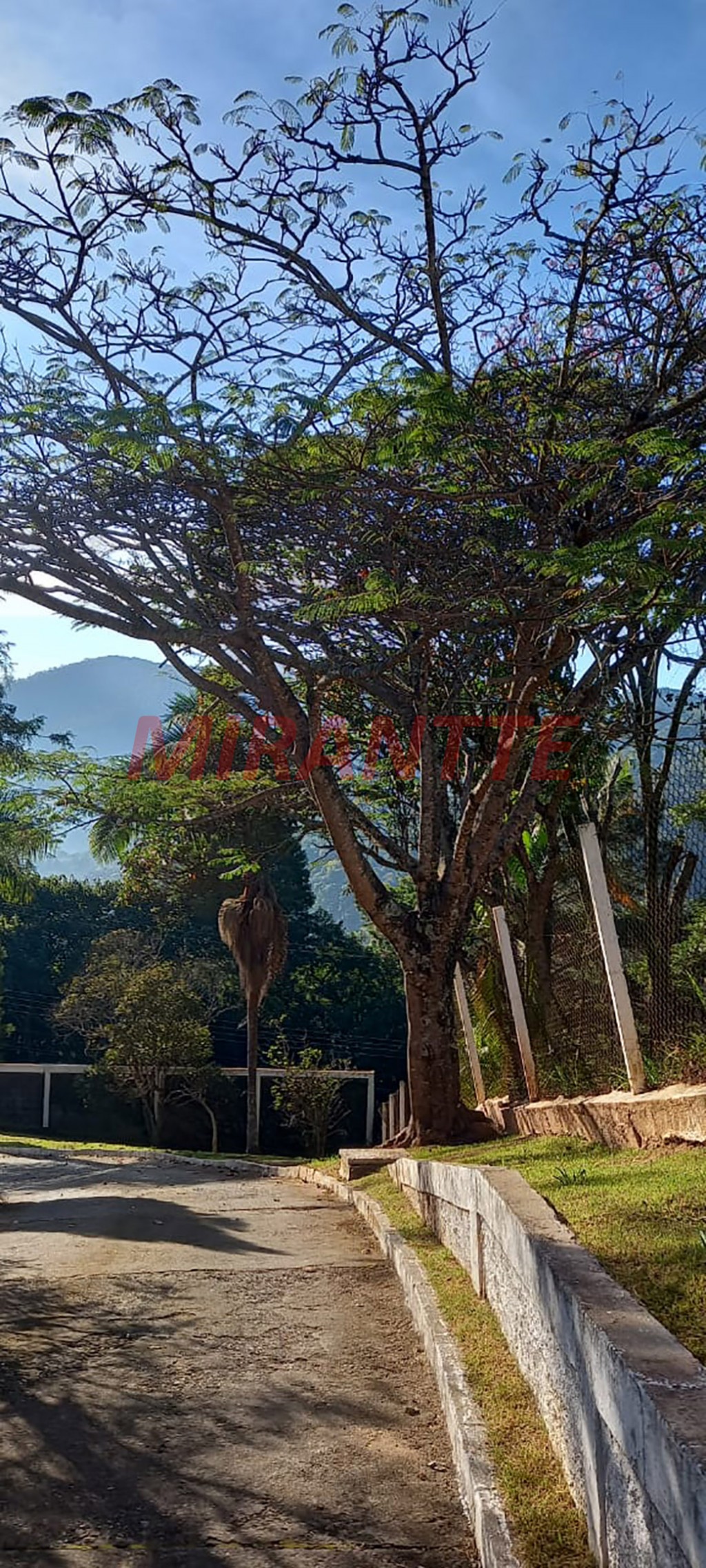 Casa terrea de 240m² com 3 quartos em Serra Da Cantareira