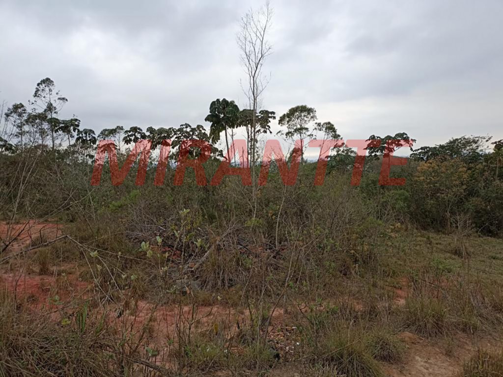 Terreno de 40910m² em RECANTO BONANZA
