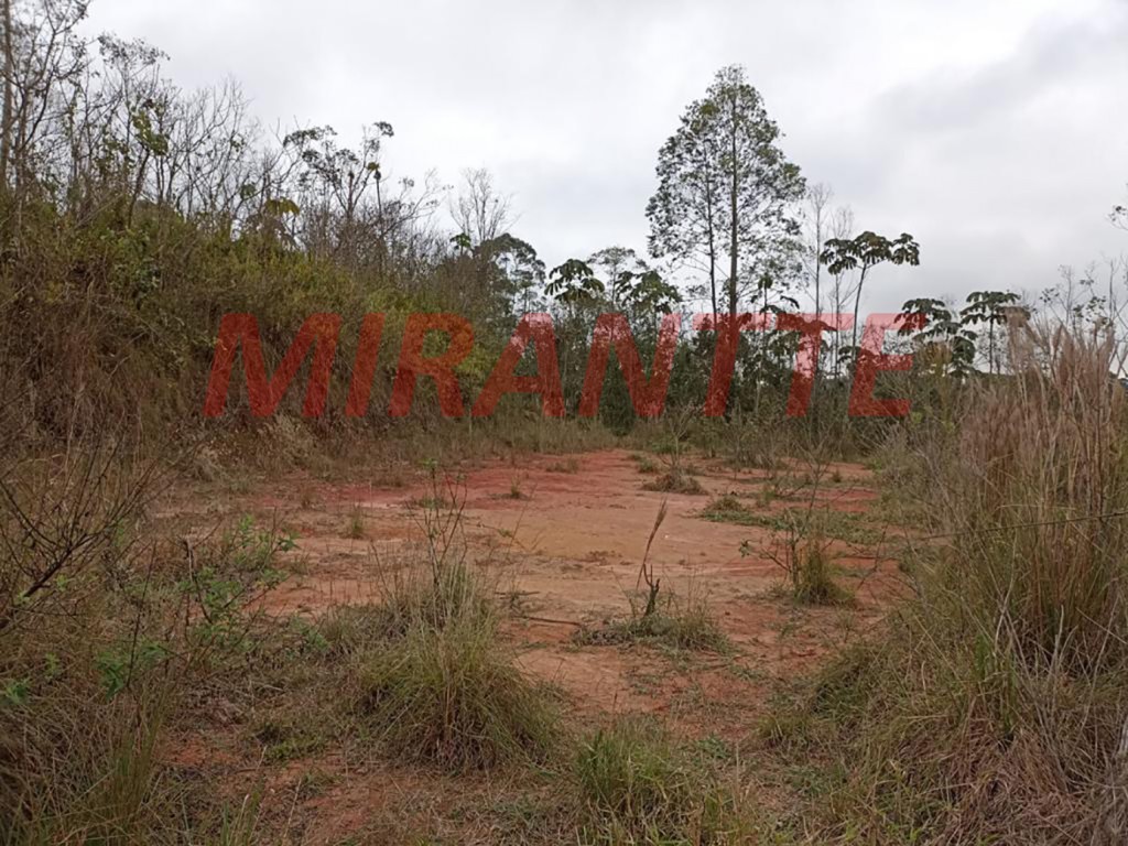 Terreno de 40910m² em RECANTO BONANZA