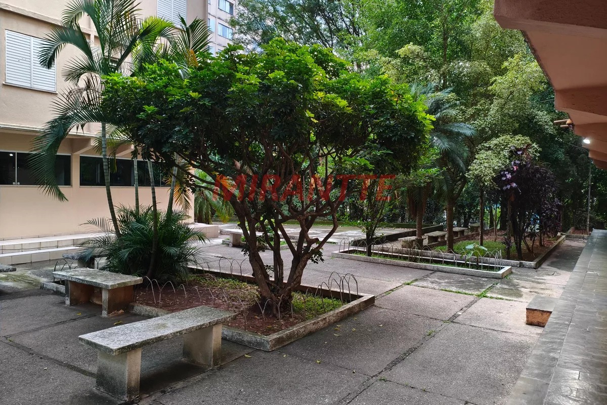 Apartamento de 60m² com 2 quartos em Barro Branco