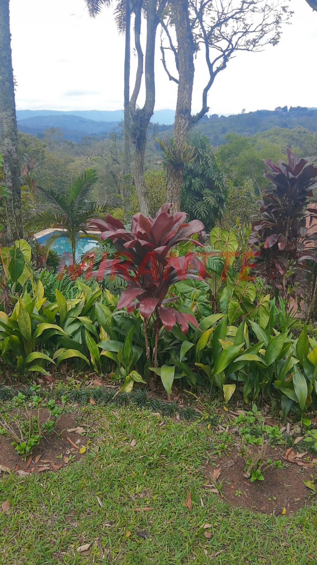 ChÁcara de 452m² com 5 quartos em Parque Petropolis