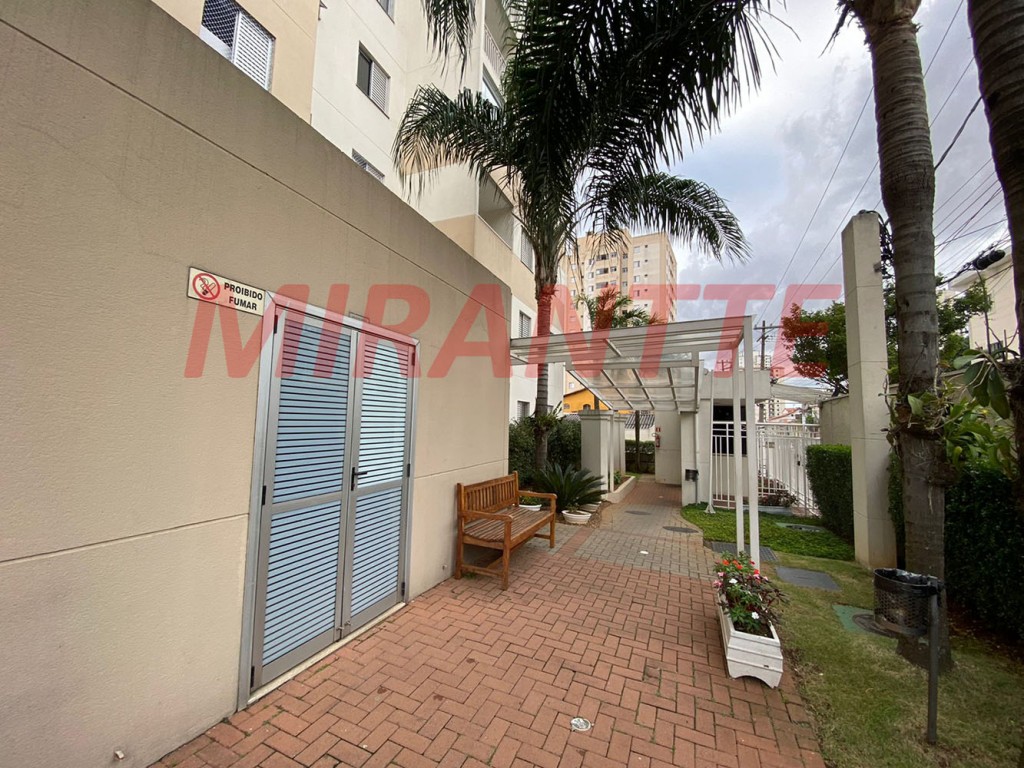 Apartamento de 50m² com 1 quarto em Sacoma