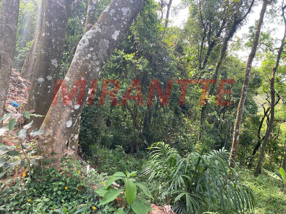Terreno de 397m² em Serra Da Cantareira