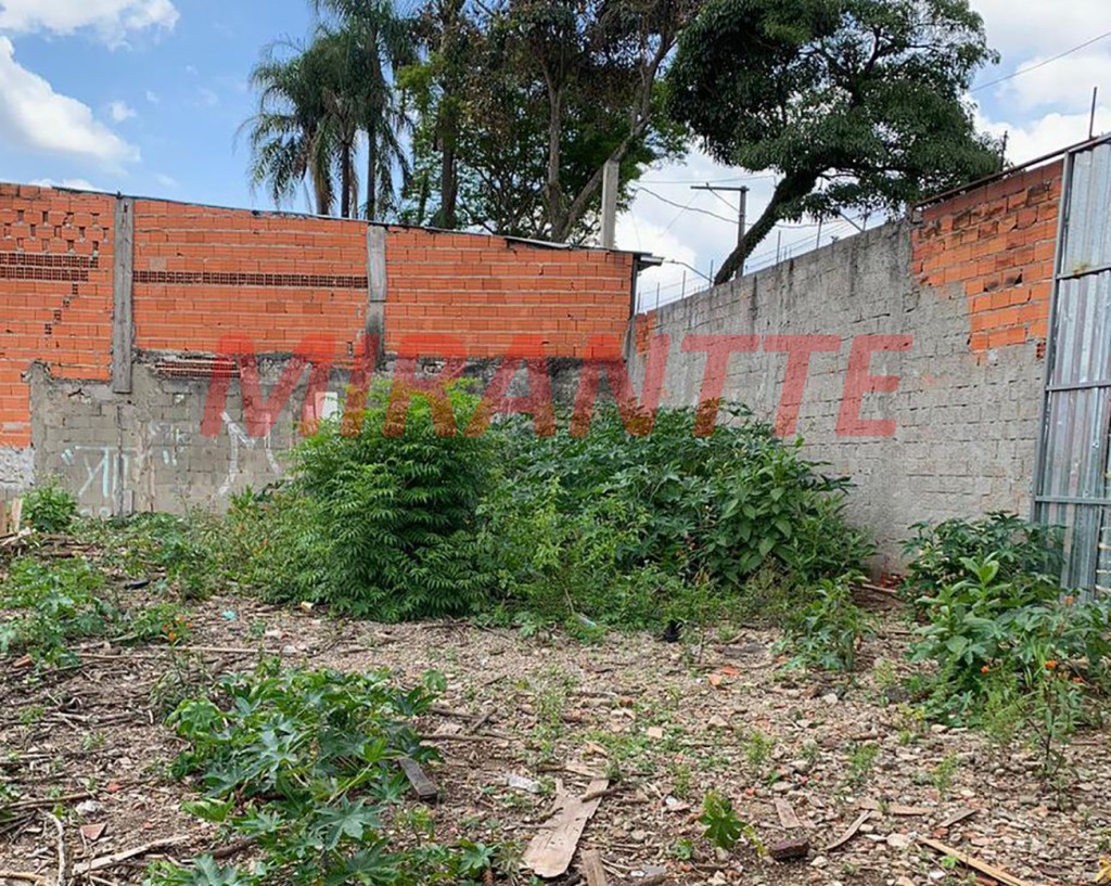 Terreno de 1028m² em Vila Paulistana